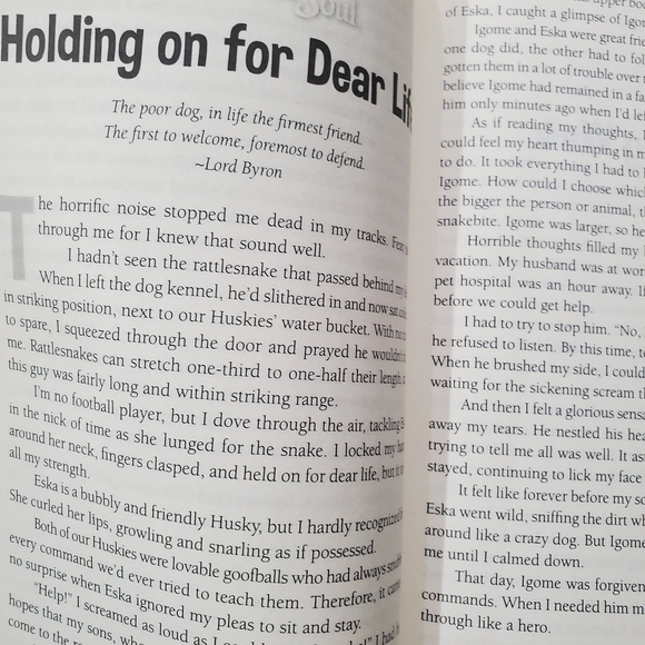 : My Hilarious, Heroic, Human Dog Book - Picture 4 of 13